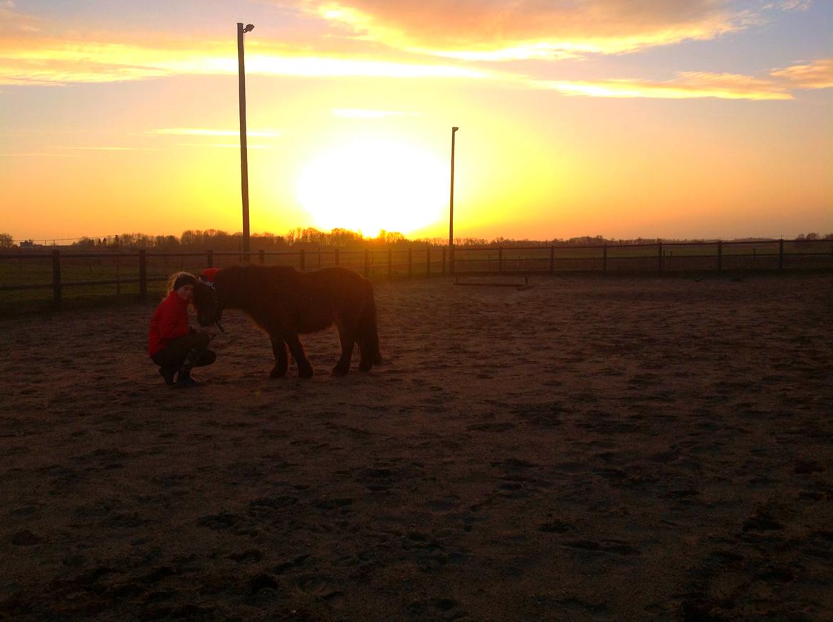 Knabstrupper Gizmo - lille pot - My soulmate <33 - Et billede siger mere end 1000 ord <3<3 billede 2