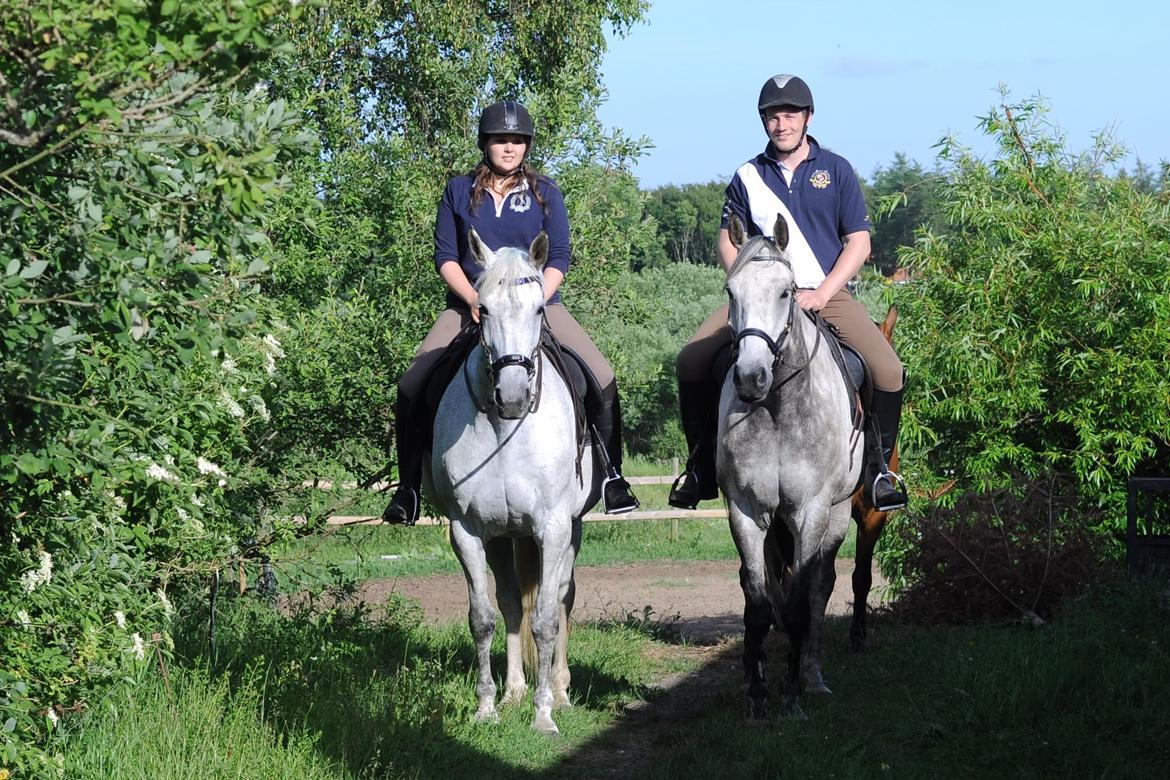 Holstener Colt 45 billede 19