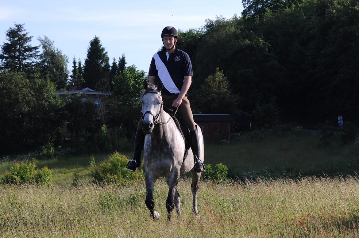 Holstener Colt 45 billede 23