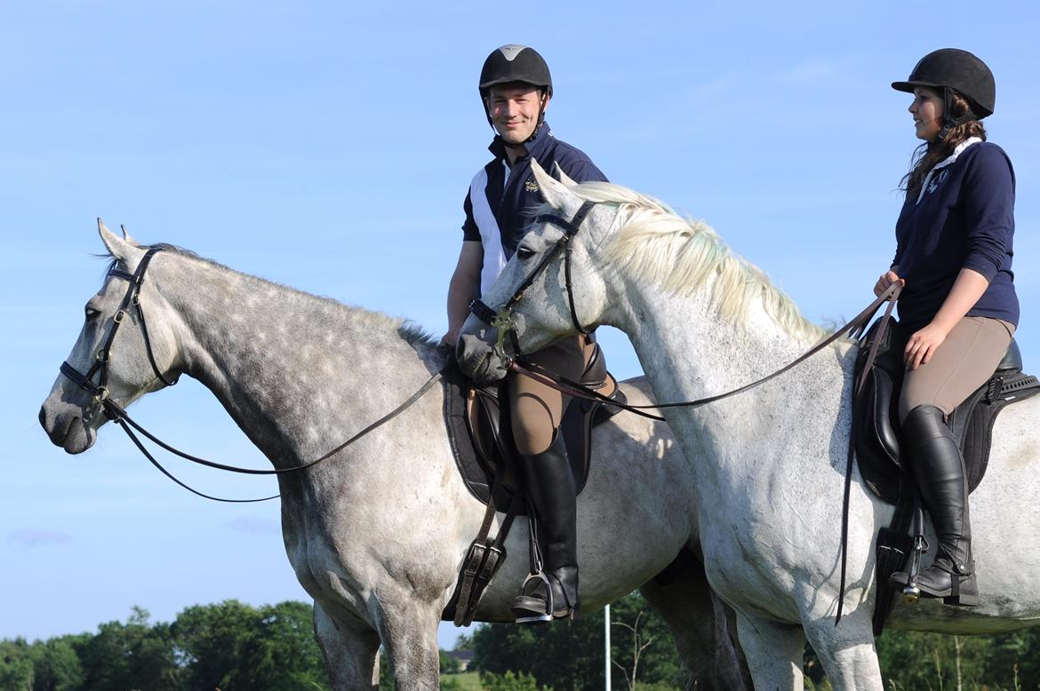 Holstener Colt 45 billede 2