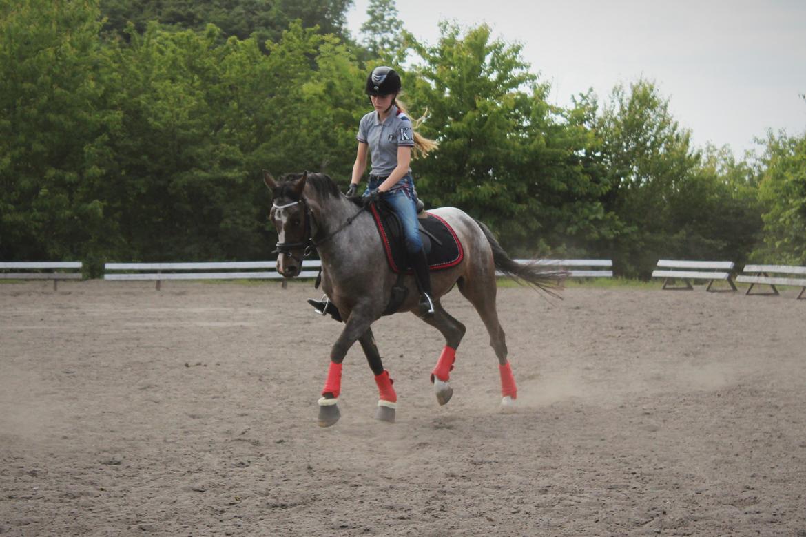 DSP Spotlight's Kira *LÅNE HEST* - Afsted det går igen ! :D billede 7