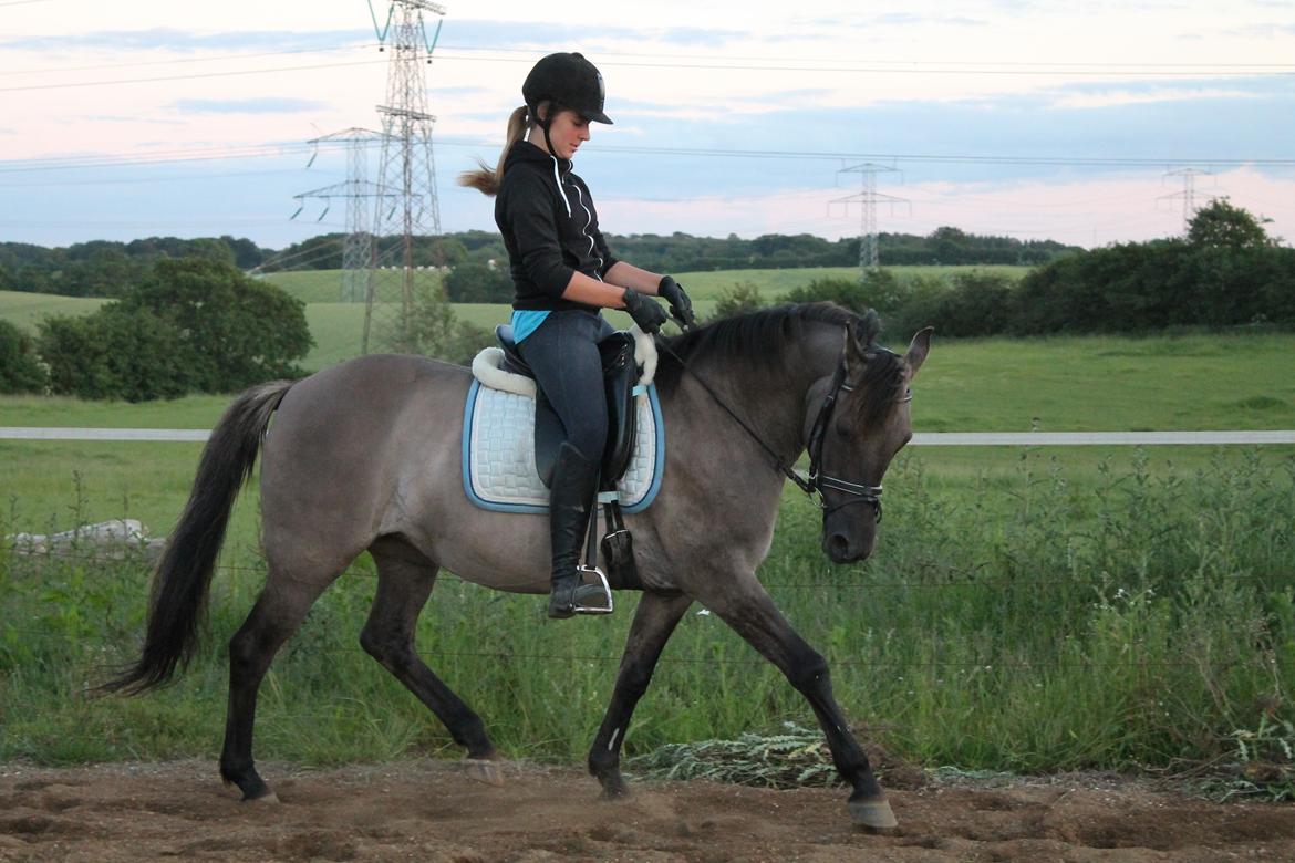 Anden særlig race Lorell billede 1
