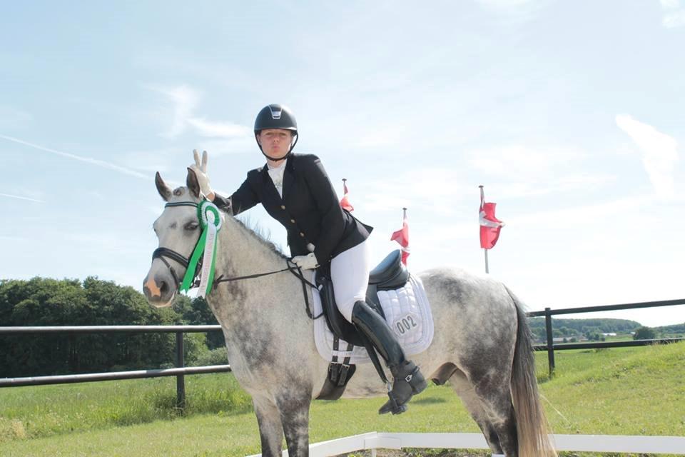 Anden særlig race Armani - B-pony - If you can dream it, you can do it..
 billede 3