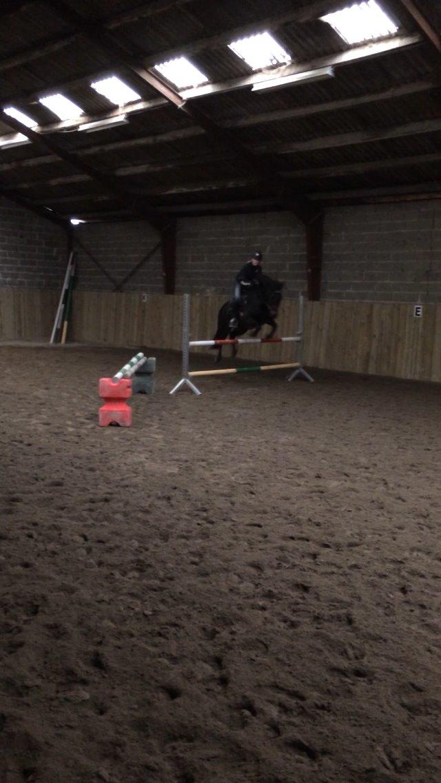 Anden særlig race Black boy billede 19