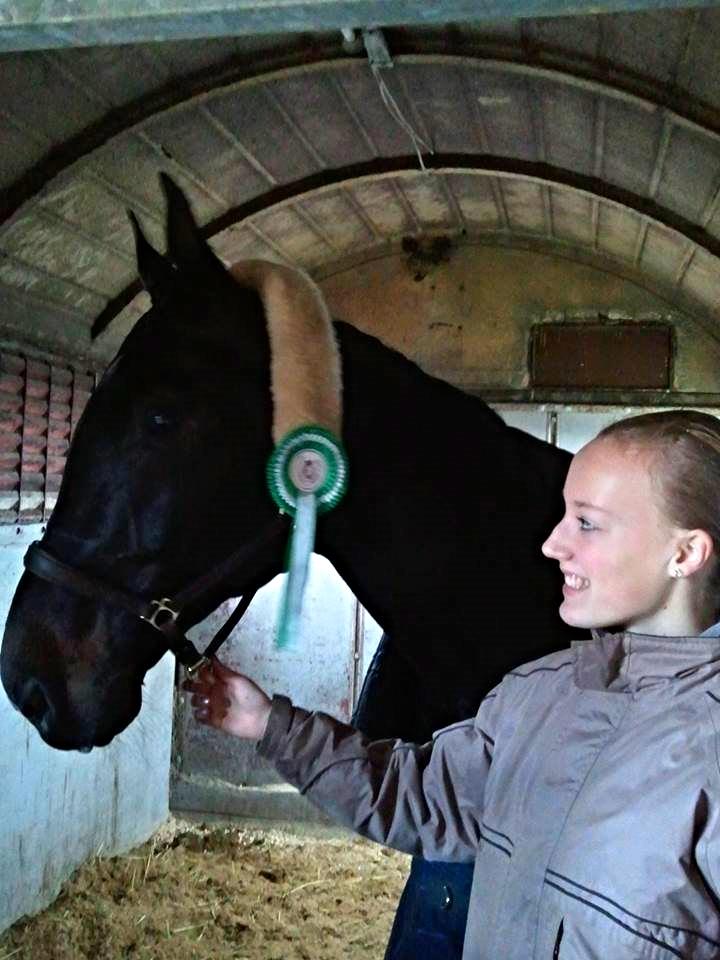 Tysk Oldenburger Depardu billede 13