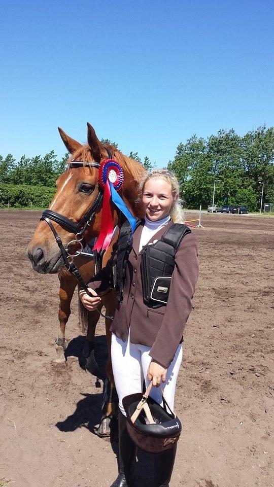 Tysk Oldenburger Lucky Lukas billede 12