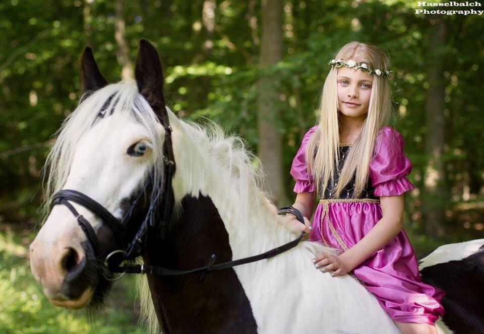 Irish Cob Irish Blue Lady billede 3