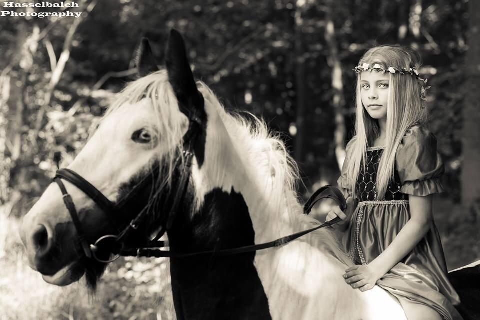 Irish Cob Irish Blue Lady billede 5