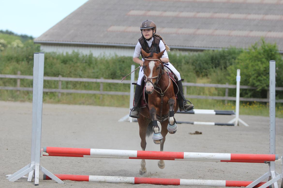 Tysk Sportspony Nike  billede 1