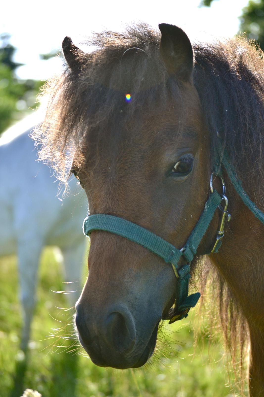 Miniature Duracell billede 7