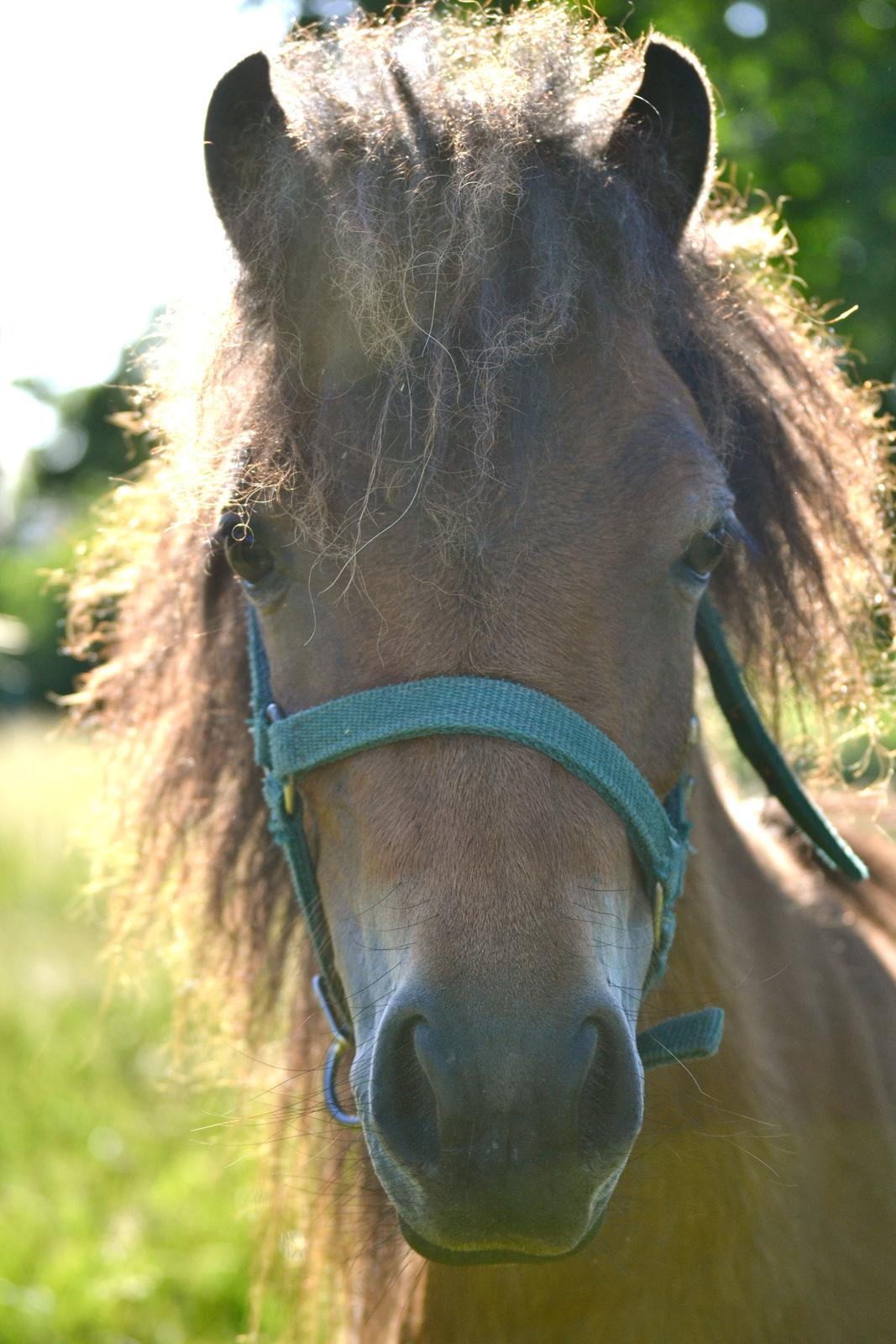 Miniature Duracell billede 8