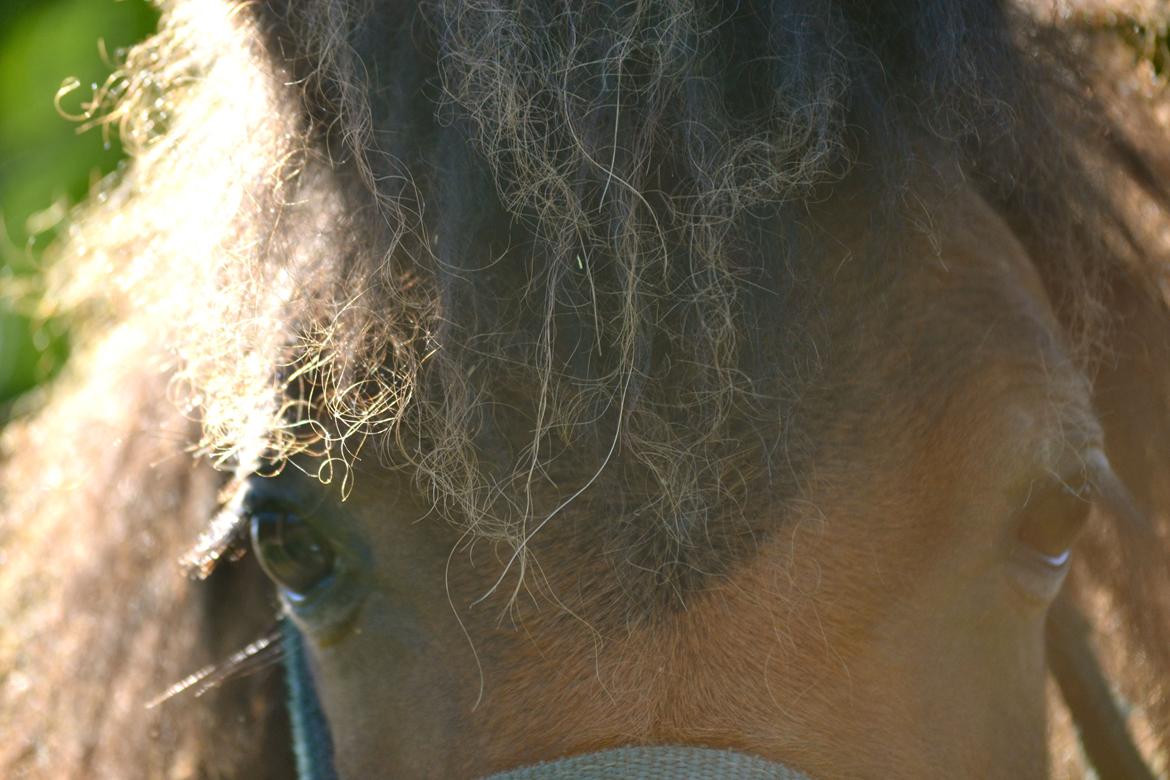 Miniature Duracell billede 9