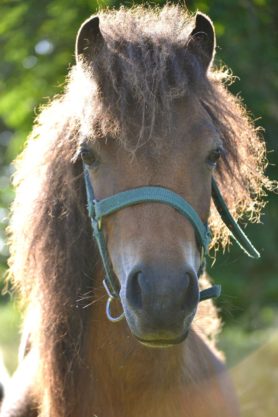 Miniature Duracell billede 1