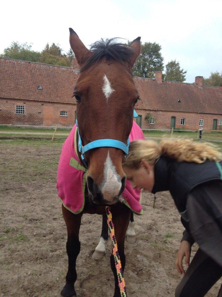 Anden særlig race Ida :-* billede 1