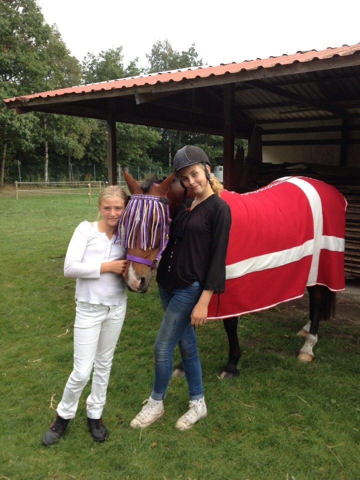 Anden særlig race Ida :-* billede 11