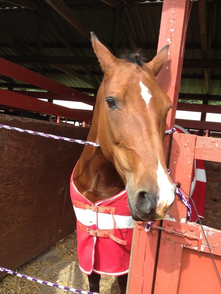 Anden særlig race Ida :-* billede 10