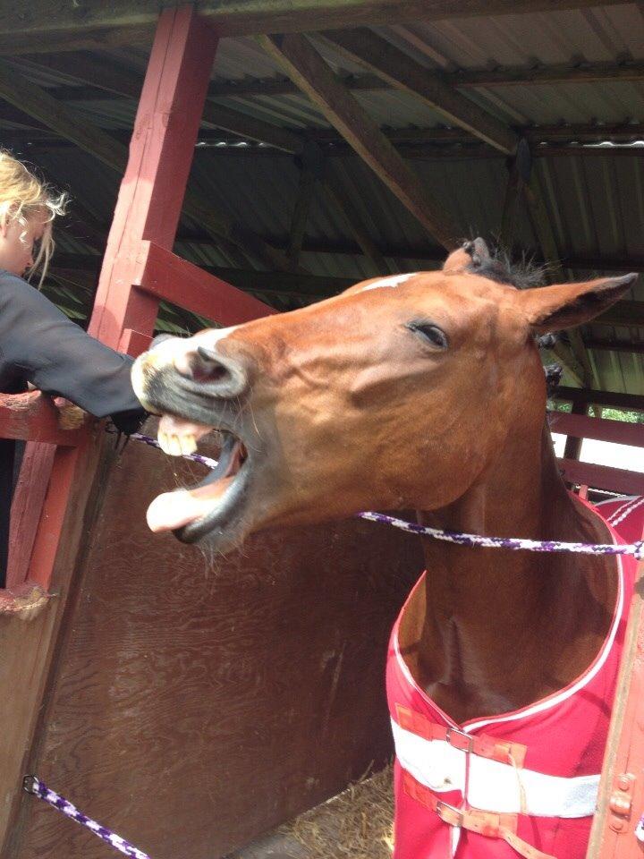 Anden særlig race Ida :-* billede 12