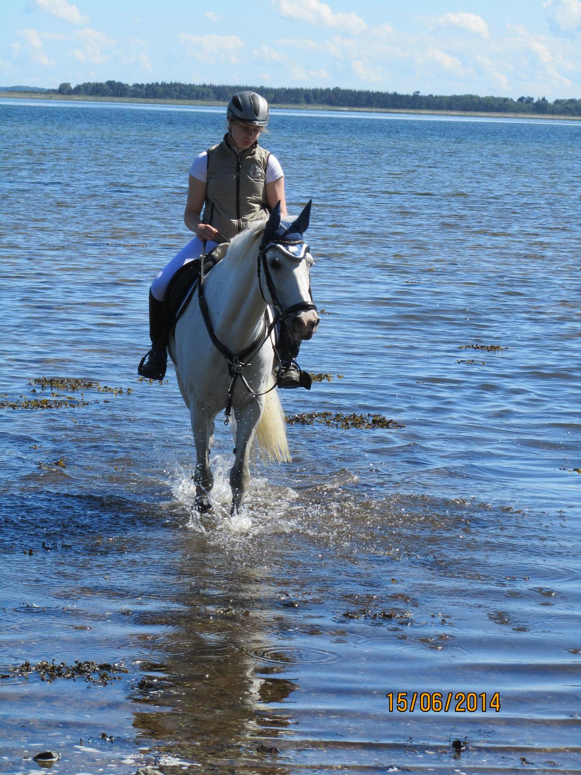 Anden særlig race Milky Way billede 5