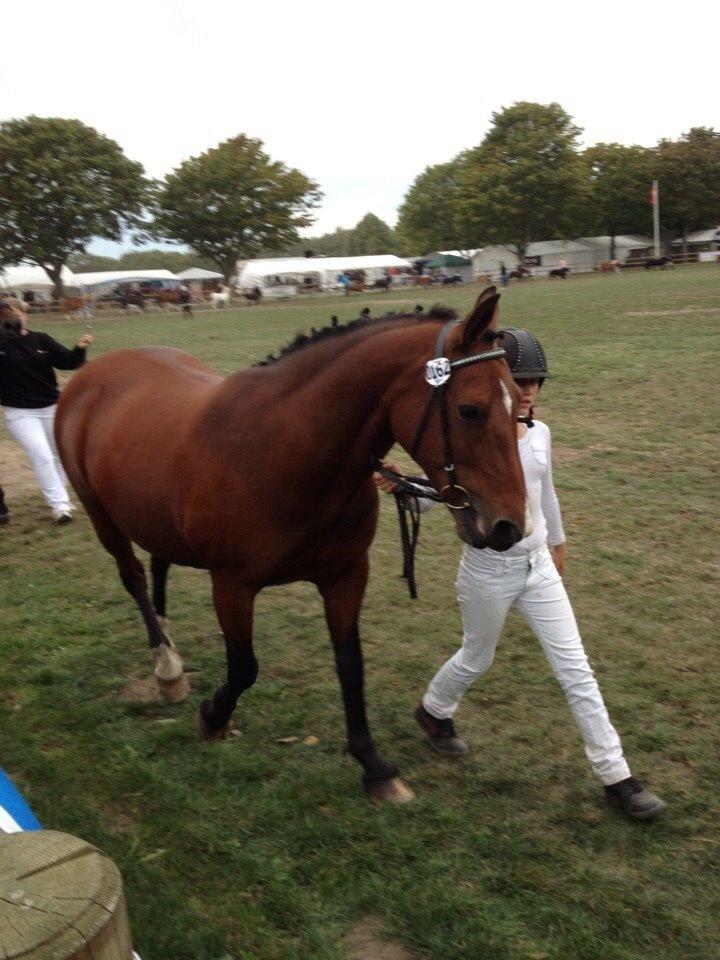 Anden særlig race Ida :-* billede 17