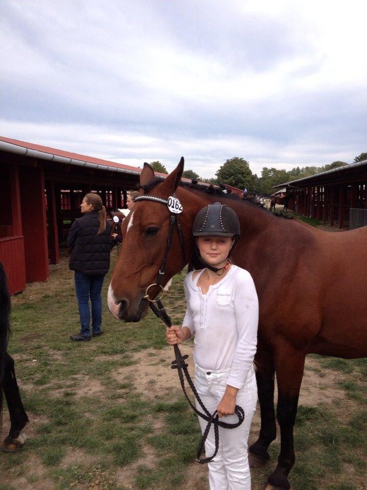 Anden særlig race Ida :-* billede 18