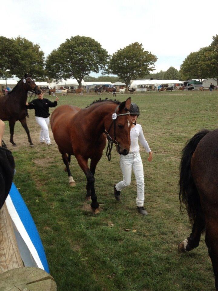 Anden særlig race Ida :-* billede 20