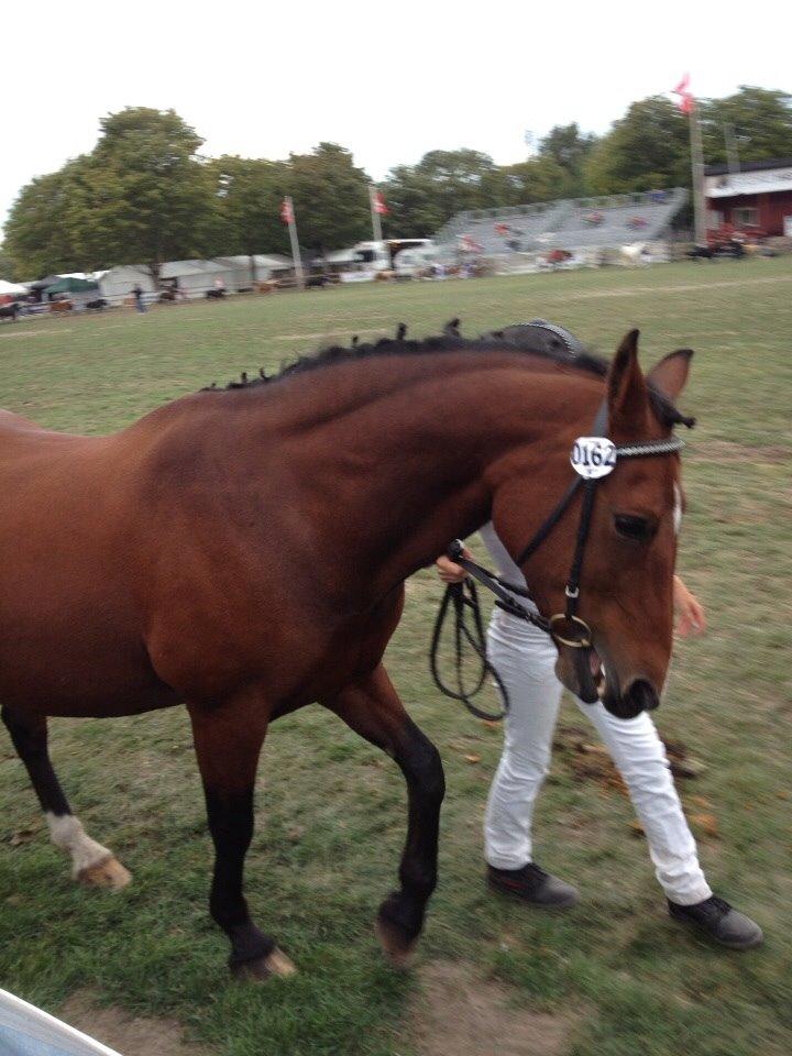 Anden særlig race Ida :-* billede 21