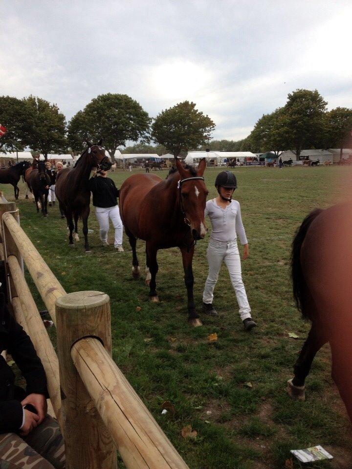 Anden særlig race Ida :-* billede 24