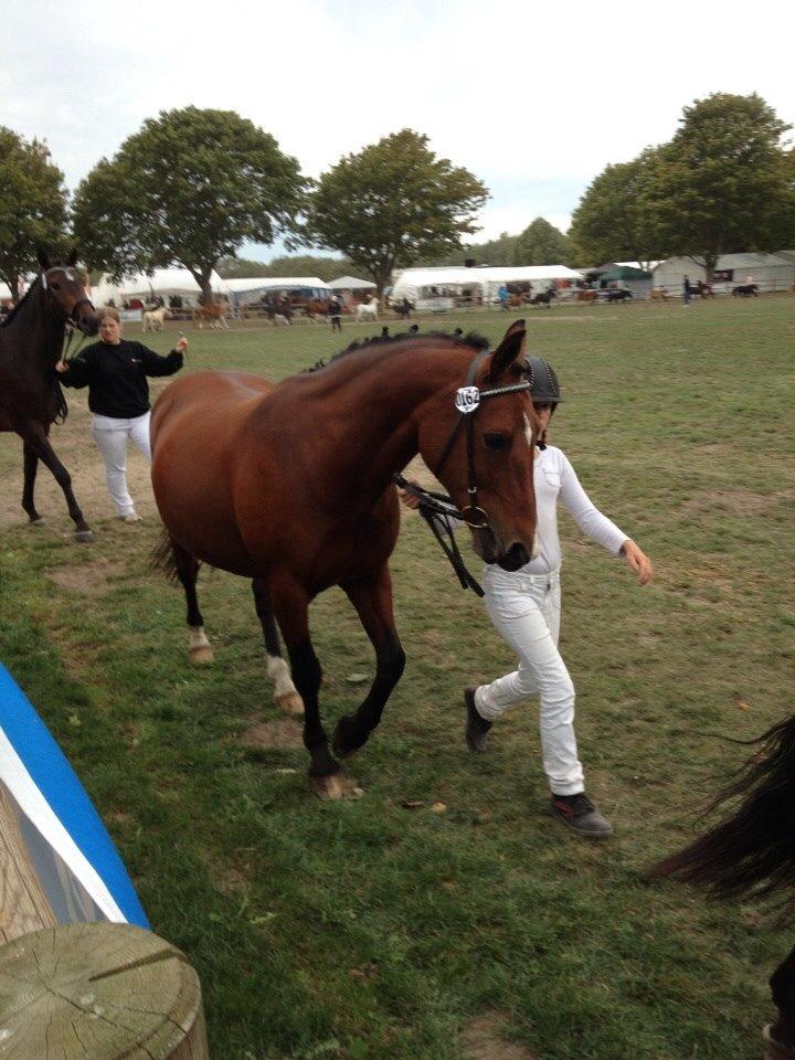 Anden særlig race Ida :-* billede 25