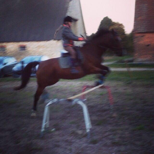 Anden særlig race Ida :-* billede 26