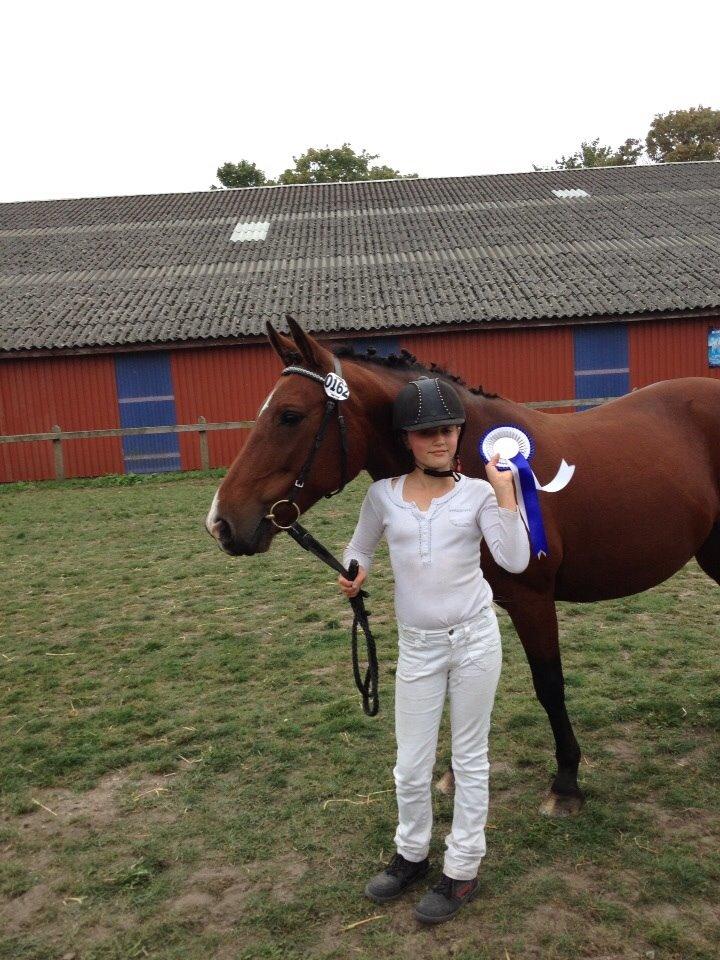 Anden særlig race Ida :-* billede 27