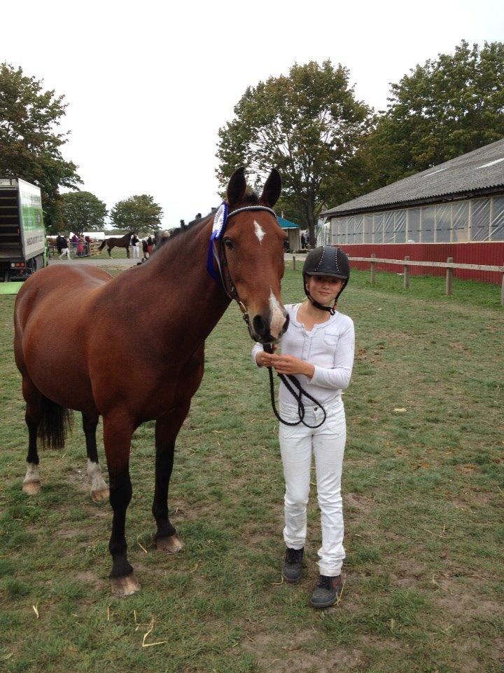 Anden særlig race Ida :-* billede 28