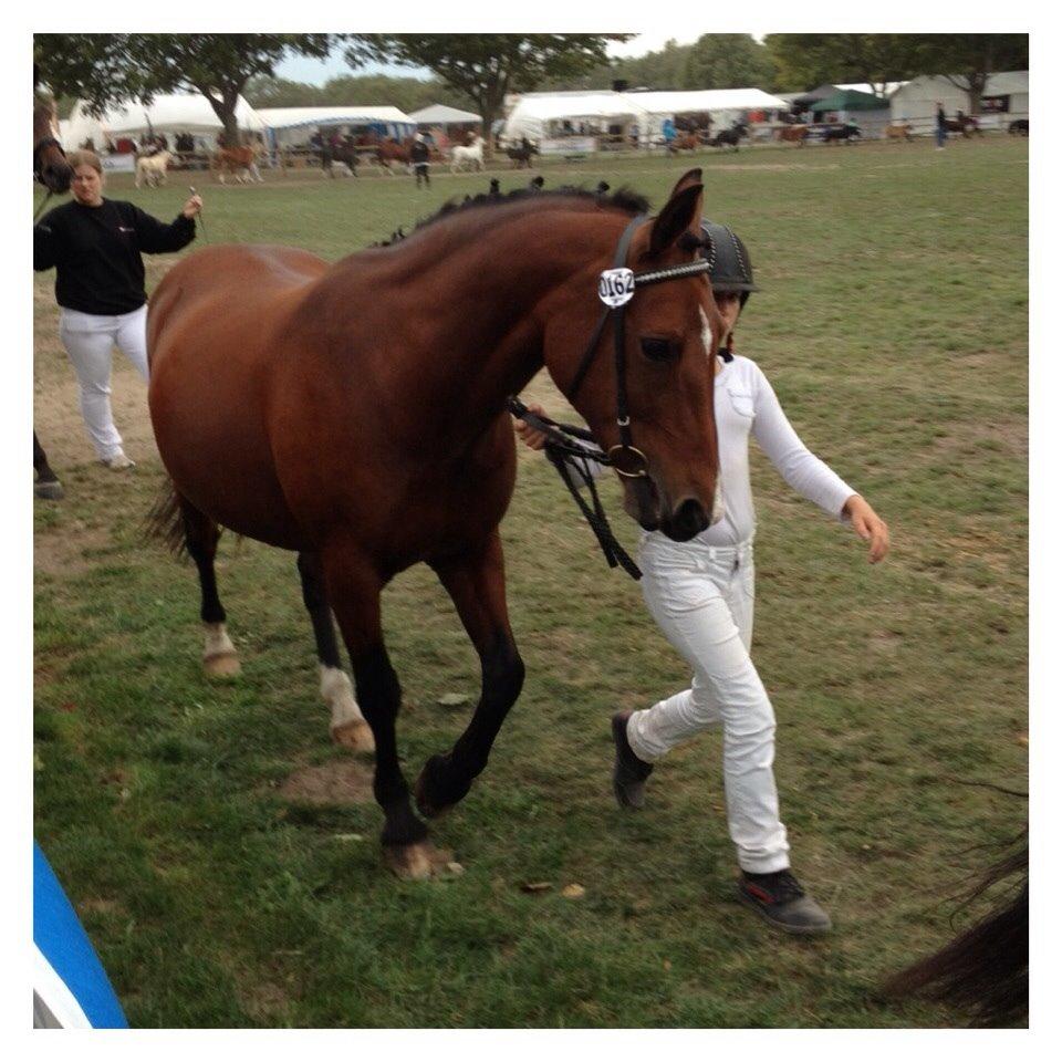 Anden særlig race Ida :-* billede 33