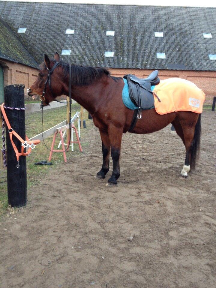 Anden særlig race Ida :-* billede 35