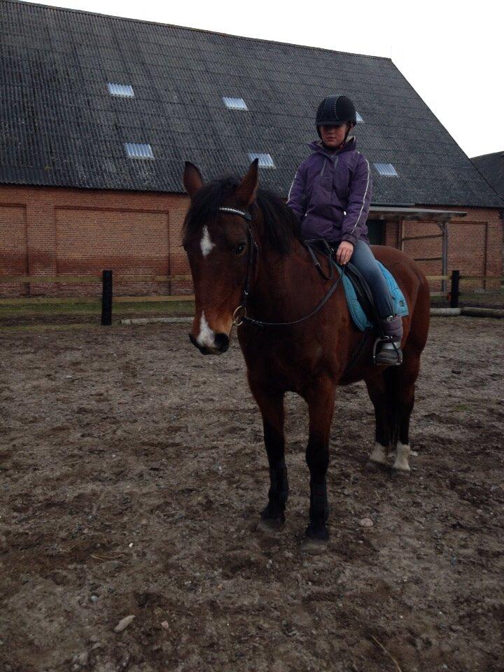 Anden særlig race Ida :-* billede 42