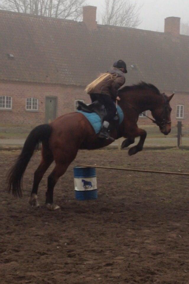 Anden særlig race Ida :-* billede 44