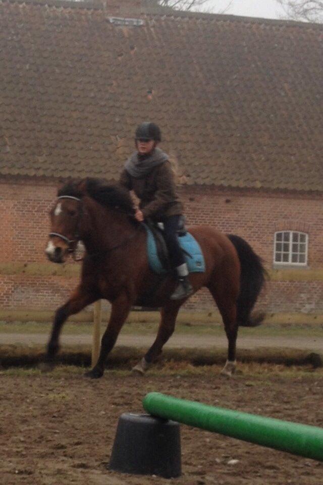 Anden særlig race Ida :-* billede 45