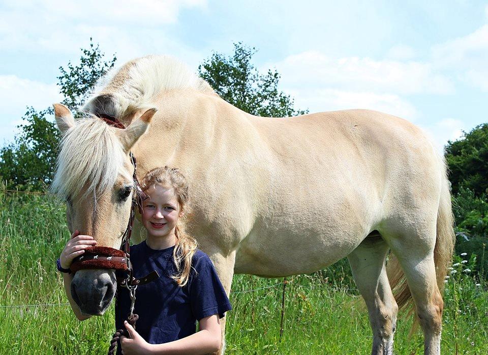 Fjordhest Vængets Mirabel <3 - Haha, har allerede købt en grime til hende, men der var kun en, så var værmest nød til det! :p billede 3