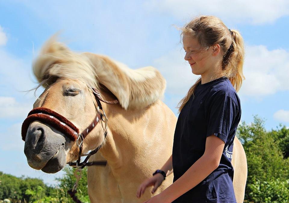 Fjordhest Vængets Mirabel <3 - Hm ja, interresant xD billede 9