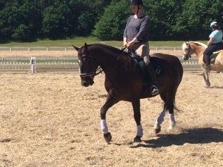 Oldenborg Etasja af Hvarre billede 32