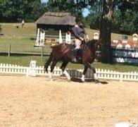 Oldenborg Etasja af Hvarre billede 33