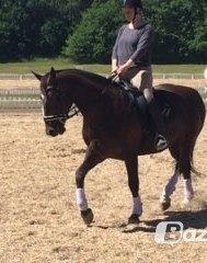 Oldenborg Etasja af Hvarre billede 35