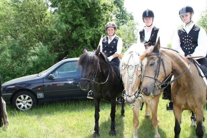 New Forest Lousie billede 6