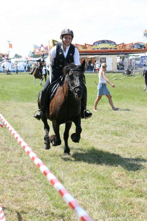 New Forest Lousie billede 7