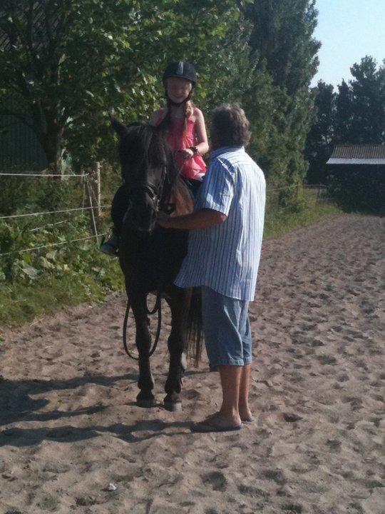 New Forest Lousie billede 4