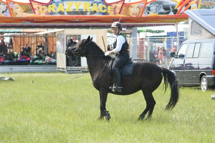 New Forest Lousie billede 9