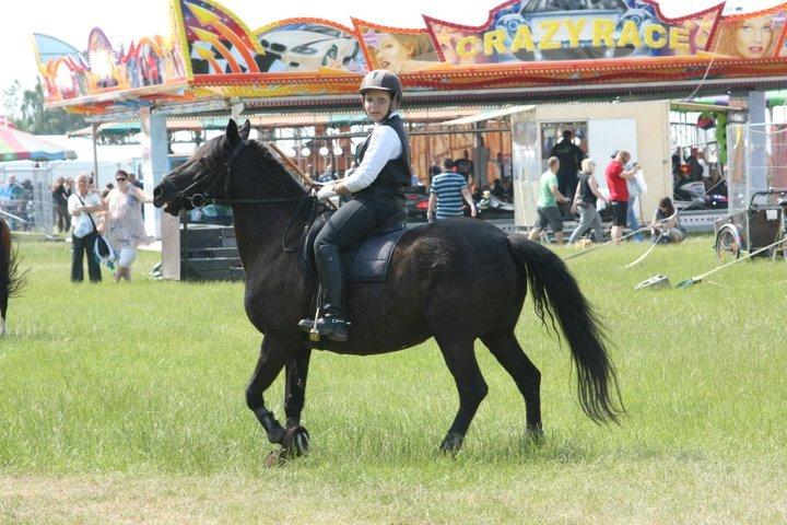 New Forest Lousie billede 10