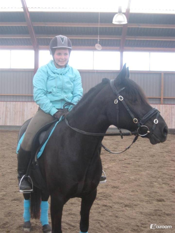 New Forest Lousie billede 16