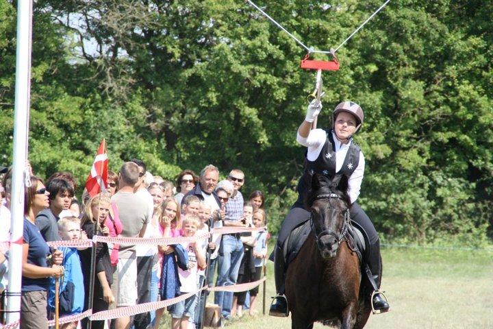 New Forest Lousie billede 11