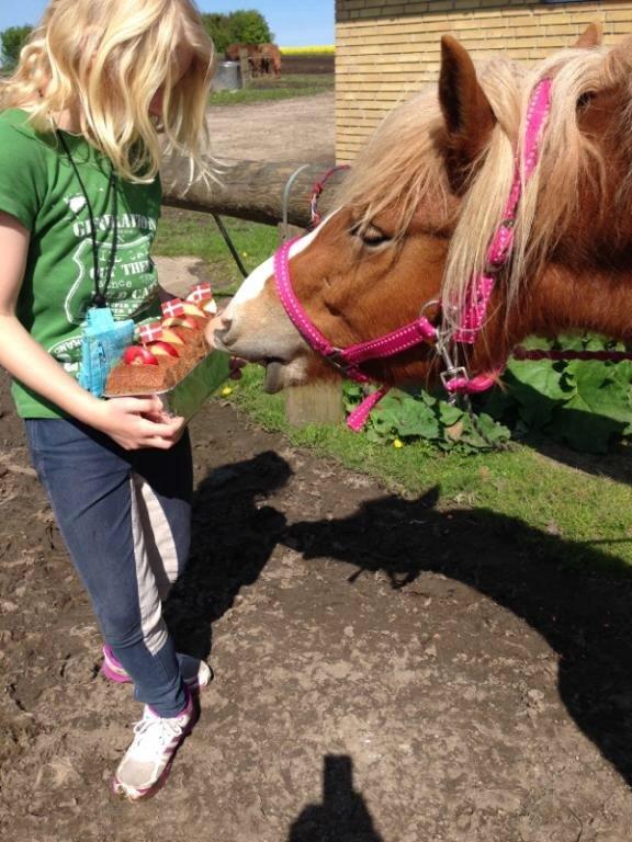 Islænder Fina!<33 billede 9