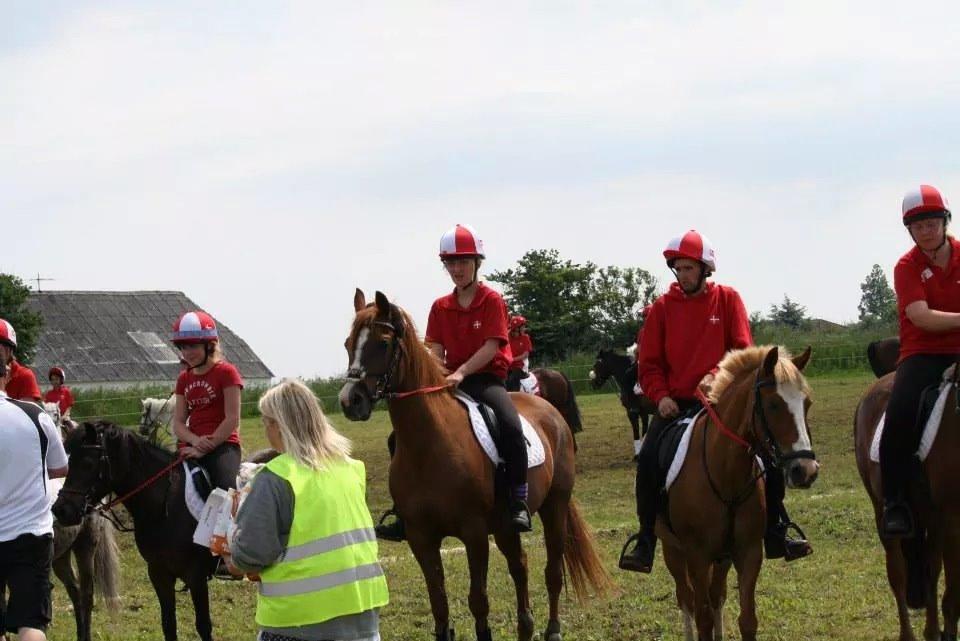 Arabisk fuldblod (OX) Dancer <3 billede 9